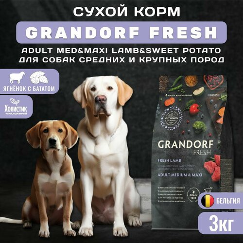 Сухой корм GRANDORF Fresh Dog Adult MED&MAXI Lamb&Sweet Potato для собак средних и крупных пород из свежего мяса ягненка с бататом, 3 кг фото