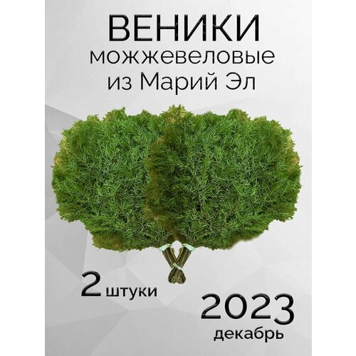 Можжевеловые веники для бани из Марий Эл в коробке 2 штуки фото