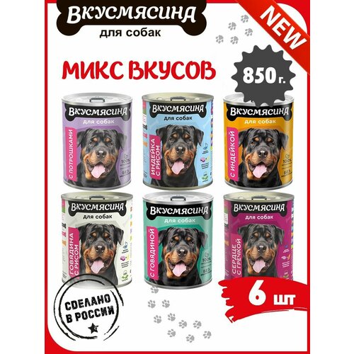 Корм влажный для собак, вкусмясина микс 33 из 6 вкусов, 6 шт. х 850 г фото