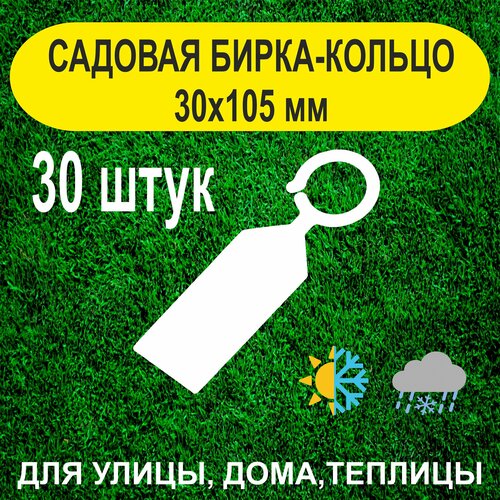 Садовая бирка-кольцо 30х105мм. с удобным креплением. 30штук фото