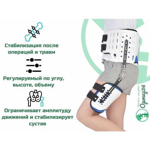 Ортез на тазобедренный сустав иммобилизирующий регулируемый ORTOBRACE TRB-061 (размер 2) фото