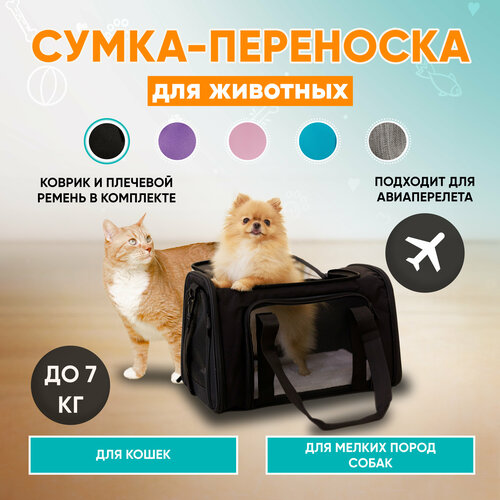 Сумка-переноска для кошек и мелких собак MR DOG фото