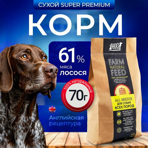 Сухой корм для собак средних и крупных пород Buddy Dinner Gold Line Hypoallergenic с лососем 70 гр фото