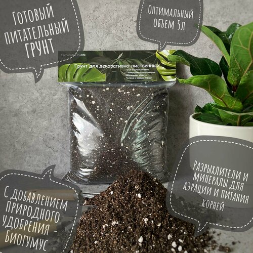 Готовый грунт с биогумусом для комнатных ароидных растений Terracotta Plants, 5 литра фото