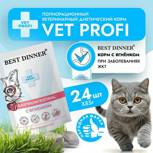 Влажный корм для кошек Best Dinner VET PROFI Gastro Intestinal кусочки в соусе Ягненок, 85 г х 24 шт для чувствительного пищеварения и пищевой непереносимости, пауч (Бест Диннер) фото