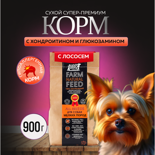 Сухой корм для собак мелких пород Buddy Dinner Orange Line Hypoallergenic с лососем 900 гр фото