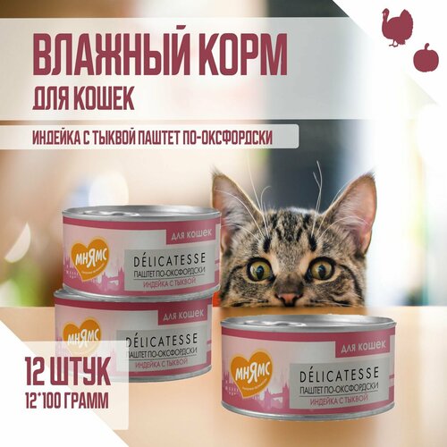 Влажный корм Мнямс для кошек 