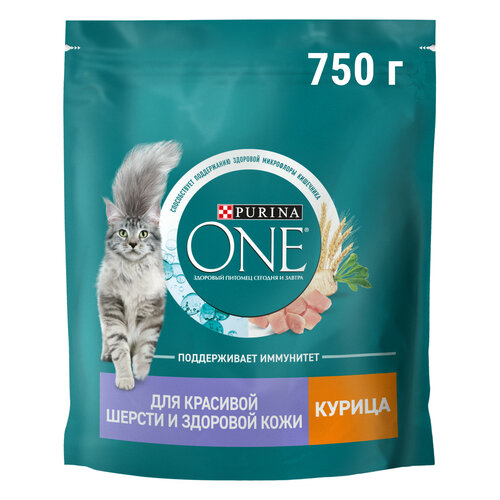 Сухой корм Purina ONE® для взрослых кошек для красивой шерсти, здоровой кожи и контроля образования волосяных комков с курицей 750 г фото