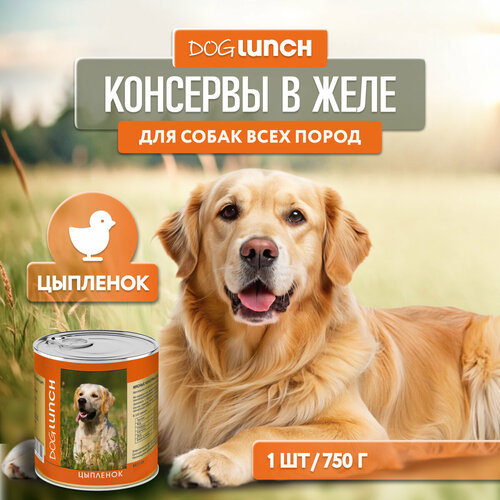 Влажный корм для собак Dog Lunch цыпленок 1 уп. х 1 шт. х 750 г фото