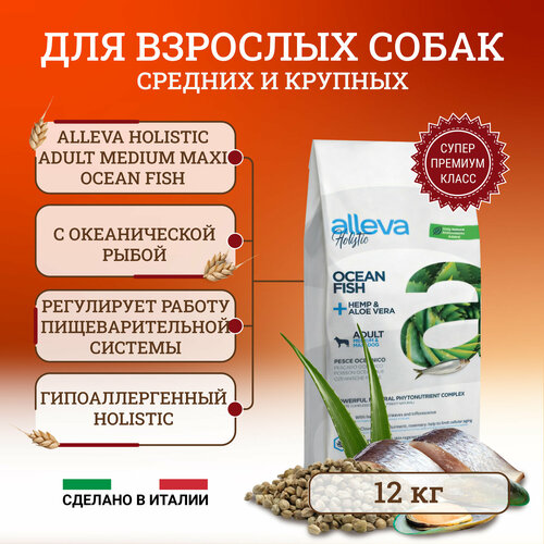 Alleva Holistic Adult Ocean Fish MediumMaxi сухой корм для взрослых собак с океанической рыбой, алое вера 12 кг фото