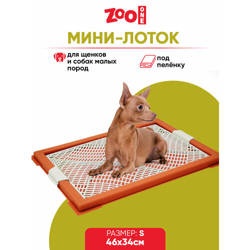 Туалет для щенков ZooOne Мини с сеткой 46х34х2 см 1 шт. 1 шт. 46 см 34 см 2 см коричневый S фото