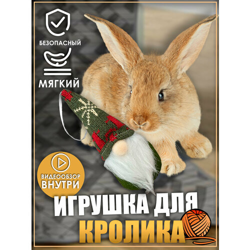 Игрушка для кролика, гномик, игрушки для грызунов, для животных фото