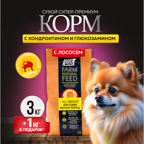 Сухой корм для собак мелких пород Buddy Dinner Gold Line Hypoallergenic с лососем 3 кг + 1 кг в подарок фото