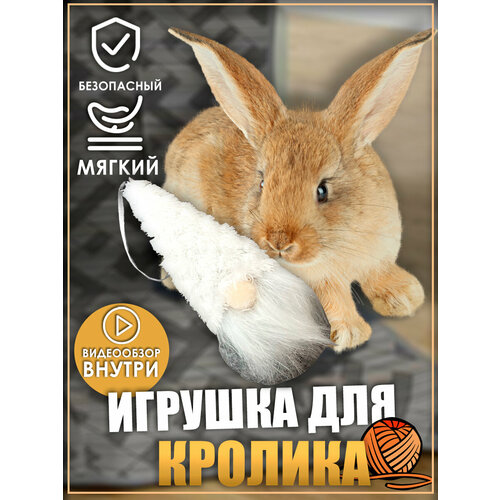 Игрушка для кролика, игрушки для грызунов, фото