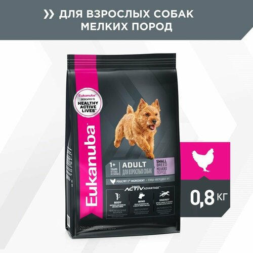 EUKANUBA ADULT SMALL BREED 800 гр сухой корм для взрослых собак мелких пород 5шт фото