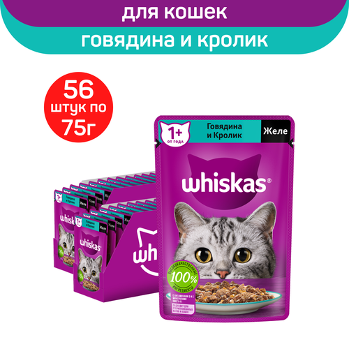 Влажный полнорационный корм Whiskas для взрослых кошек, желе с говядиной и кроликом, 75г. х 56шт. фото