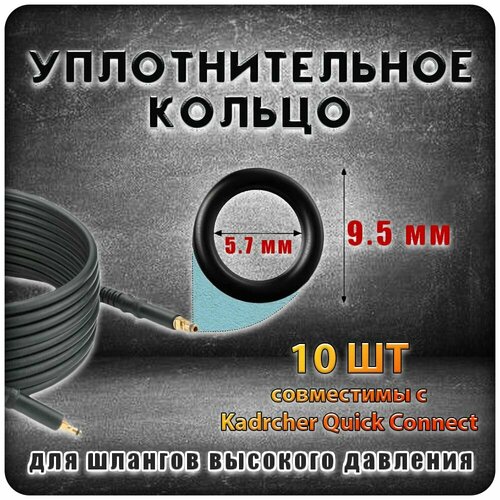 Уплотнительное кольцо для шланга мойки высокого давления, 10 шт фото