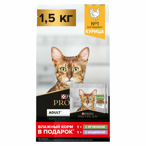 Сухой корм PRO PLAN® RENAL PLUS для взрослых кошек, с курицей, 1.5 кг + Влажный корм PRO PLAN® MAINTENANCE для кошек, с ягненком и индейкой, 85 г фото