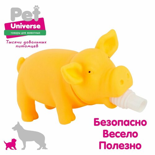 Игрушка для собак Pet Universe хрюкающий поросёнок со звуком, 15х6х7 см, винил, жёлтый PU3027Y фото