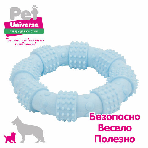 Игрушка для собак Pet Universe многофактурное кольцо с пупырышками 12х3 см, ТПР, синий, PU3062BE фото