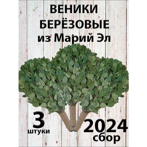 Веники березовые для бани из Марий Эл с ручкой из джута 3 штуки в коробке фото