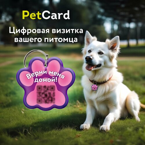 Адресник PetCard для собак и кошек с QR кодом и NFC, розовый. фото