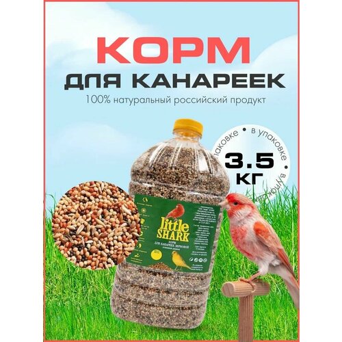 Сухой корм для канареек щеголей и домашних птиц 3,5 кг фото