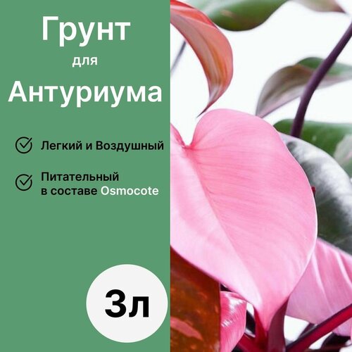 Грунт для Антуриума 3л / Бионика фото