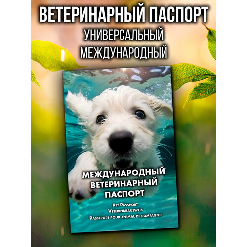 Ветеринарный паспорт для кошек и собак международный фото