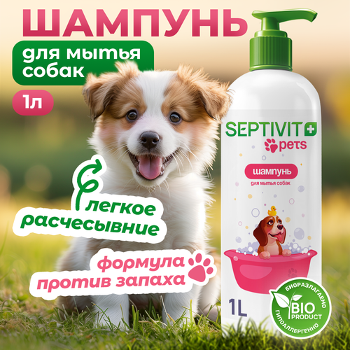 Шампунь для собак 1000 мл Septivit Premium фото