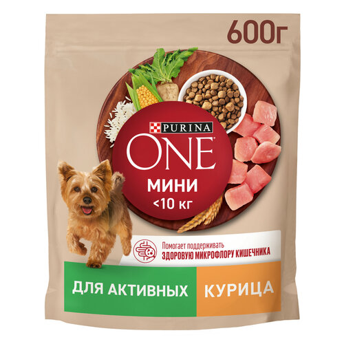 Сухой корм Purina ONE для собак мелких пород с активным образом жизни с курицей и рисом 600г фото