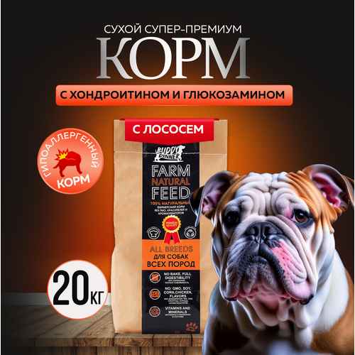 Сухой корм для собак крупных и средних пород Buddy Dinner Orange Line Hypoallergenic с лососем 20 кг фото