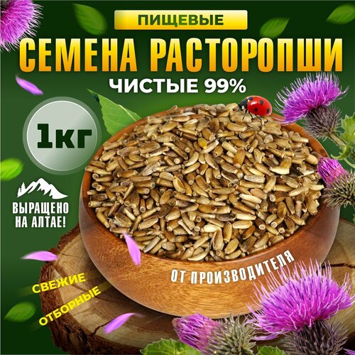 Расторопша для печени для похудения 1кг фото