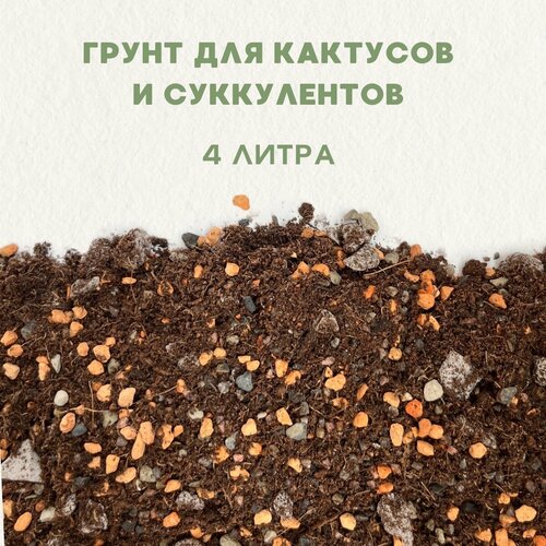 Готовый грунт для кактусов и суккулентов. Грунт для сансевиерии. 4 литра. фото