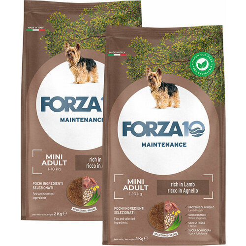 FORZA10 DOG MAINTENANCE ADULT SMALL/MEDIUM для взрослых собак маленьких и средних пород с ягненком и рисом (2 + 2 кг) фото