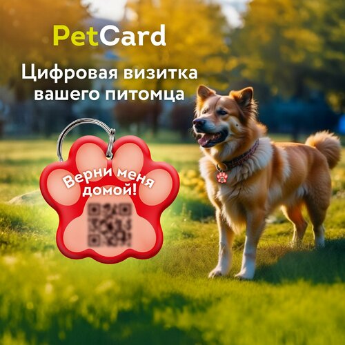 Адресник PetCard для собак и кошек с QR кодом и NFC, красный. фото