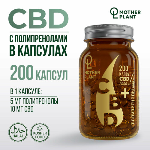 Масло CBD с полипренолами в капсулах (200 капсул по 10 мг), Motherplant фото