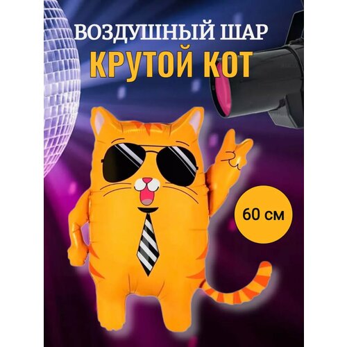 Воздушный шар Крутой кот 60 см Дискотека 90 х фото