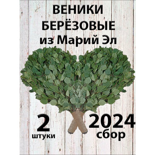 Веники березовые для бани из Марий Эл с ручкой из джута 2 штуки в коробке фото