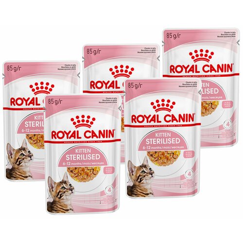 ROYAL CANIN KITTEN STERILISED для кастрированных и стерилизованных котят в желе пауч 85 гр 85 гр х 5 шт фото