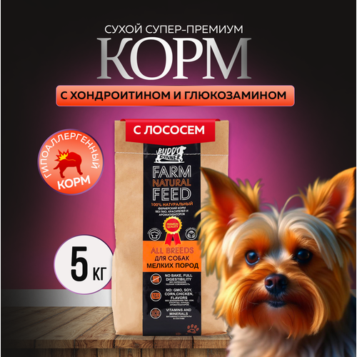 Сухой корм для собак мелких пород Buddy Dinner Orange Line Hypoallergenic с лососем 5 кг фото