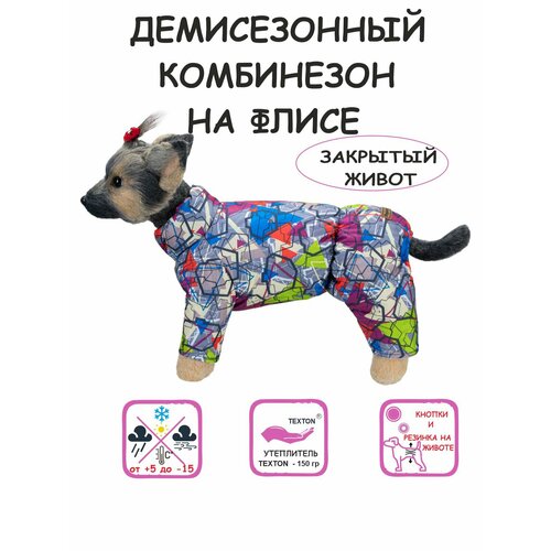 фото Комбинезон для собак DOGMODA воротник-стойка Абстракция девочка спина 37см, купить за 1700 руб онлайн