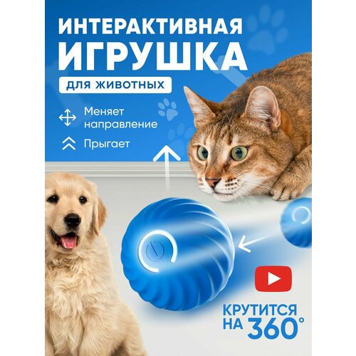 Игрушка для кошек и собак мячик интерактивный синий фото