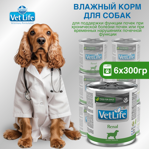 Набор. Влажный корм Farmina Vet Life Renal для собак при болезни почек, 300г, 6 шт фото