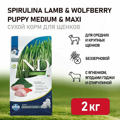 Farmina N&D Dog Spirulina Lamb & Wolfberry Puppy Medium&Maxi сухой корм для щенков средних и крупных пород, с ягненком и ягодами годжи - 2 кг фото