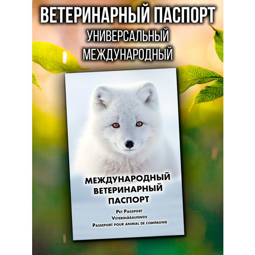 Ветеринарный паспорт для кошек и собак международный фото