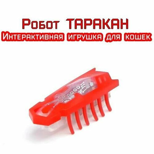 Игрушки для кошек таракан на батарейках подарки для детей фото