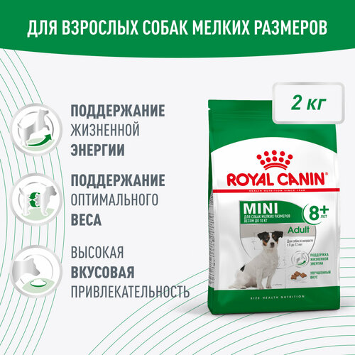 Royal Canin Mini Adult 8+ для взрослых собак мелких размеров (до 10 кг) старше 8 лет, 2кг фото