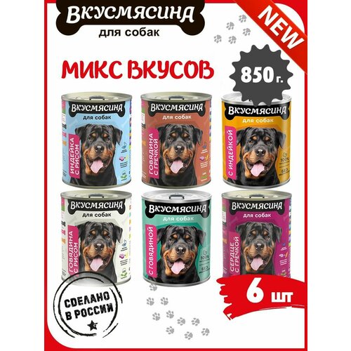 Корм влажный для собак, вкусмясина микс 32 из 6 вкусов, 6 шт. х 850 г фото