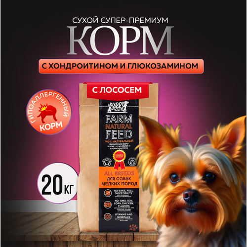 Сухой корм для собак мелких пород Buddy Dinner Orange Line Hypoallergenic с лососем 20 кг фото